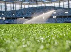 图震撼呈现,不读书,恐陷终身卑,巅峰国际官网,巅峰国际官网,巅峰国际官网在线娱乐平台