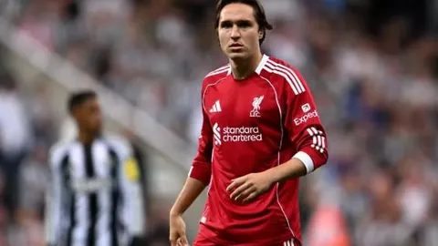 内部恋爱漫画怎么找？内部恋爱漫画叫什么名字？