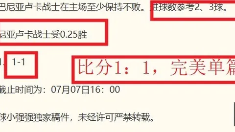 巅峰国际巅峰国际官网数据冲到045338引发关注