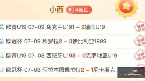 巅峰国际，巅峰国际代理， 045954 2