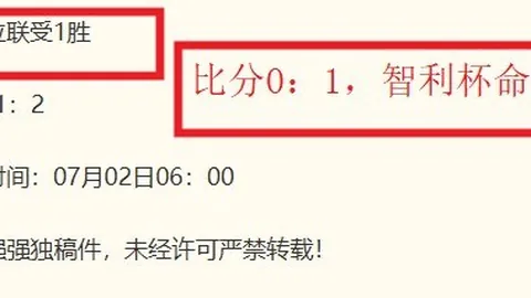 巅峰国际 050252
